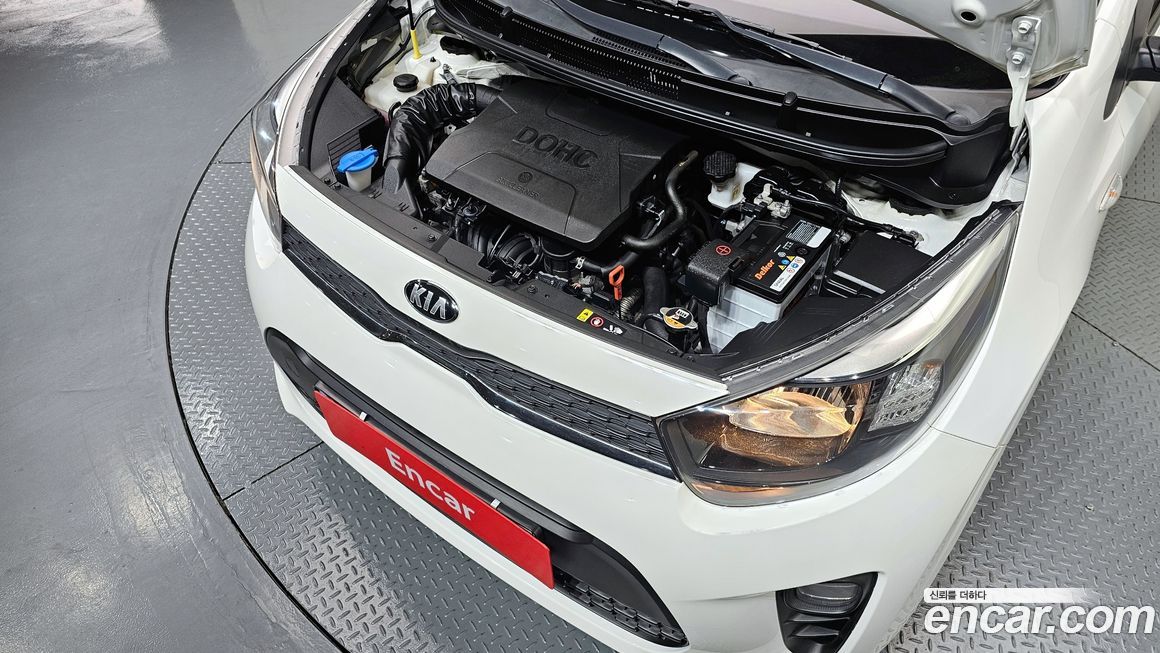 Kia morning 2019
