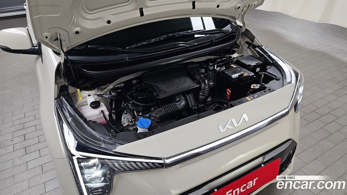 Kia morning 2025