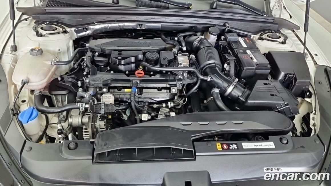 Kia K5 2024