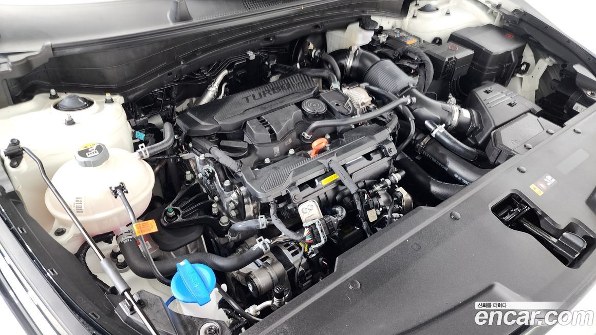 Kia Sportage 2024