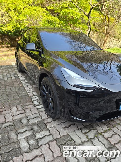 Tesla Model Y 2024