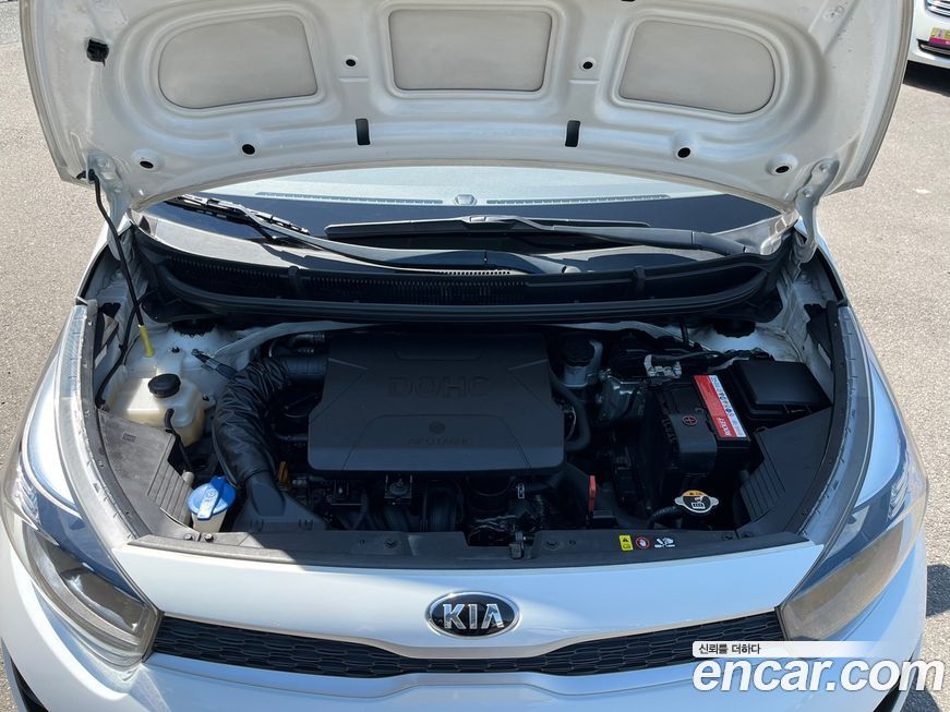 Kia morning 2019