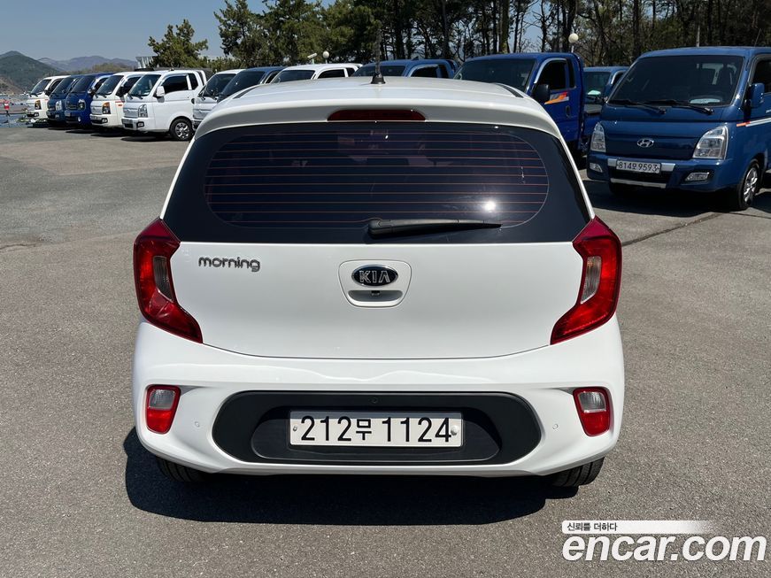Kia morning 2019