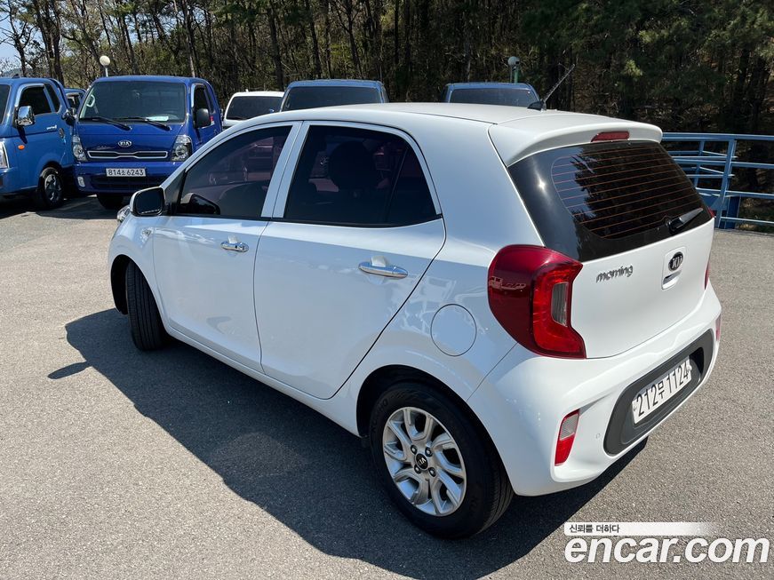 Kia morning 2019