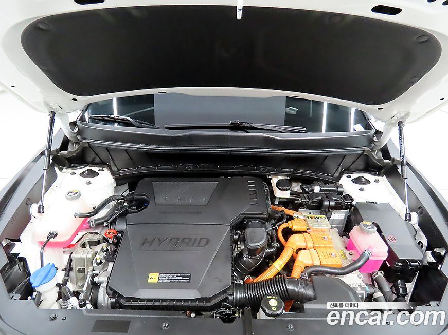 Kia Niro 2022