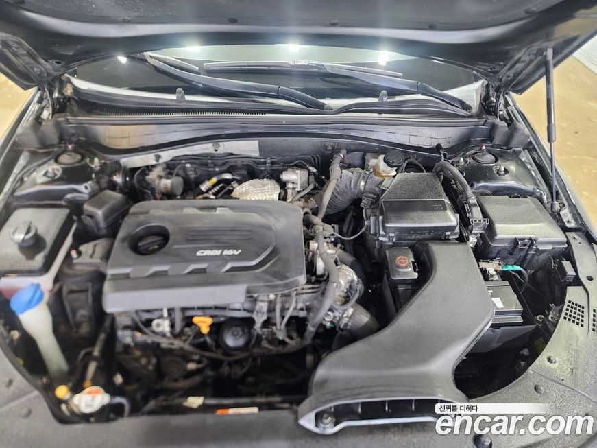 Kia K5 2016