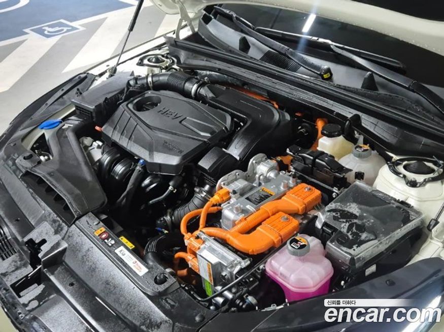 Kia K5 2024