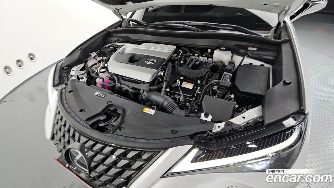 Lexus UX 2024