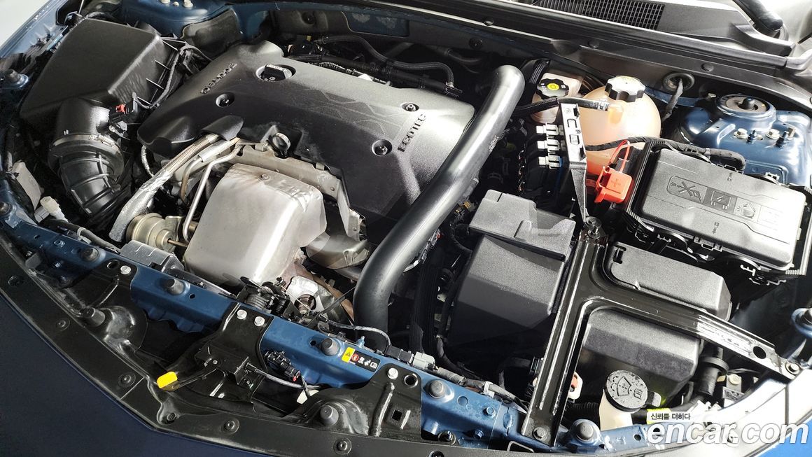 ChevroletGMDaewoo Malibu 2019