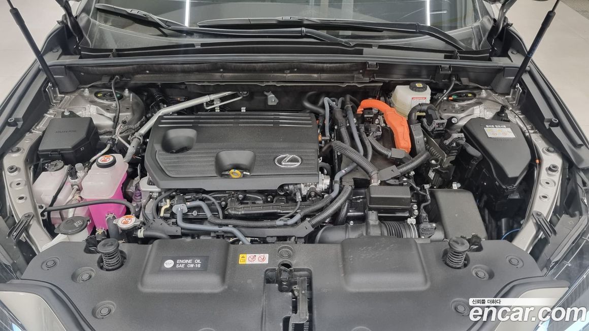 Lexus NX 2025