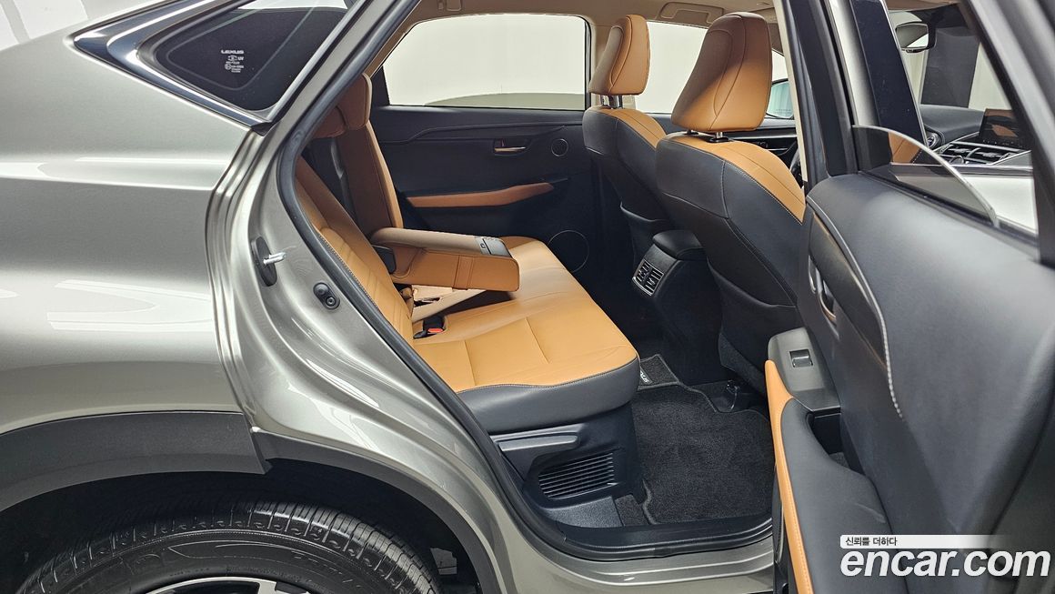 Lexus NX 2019