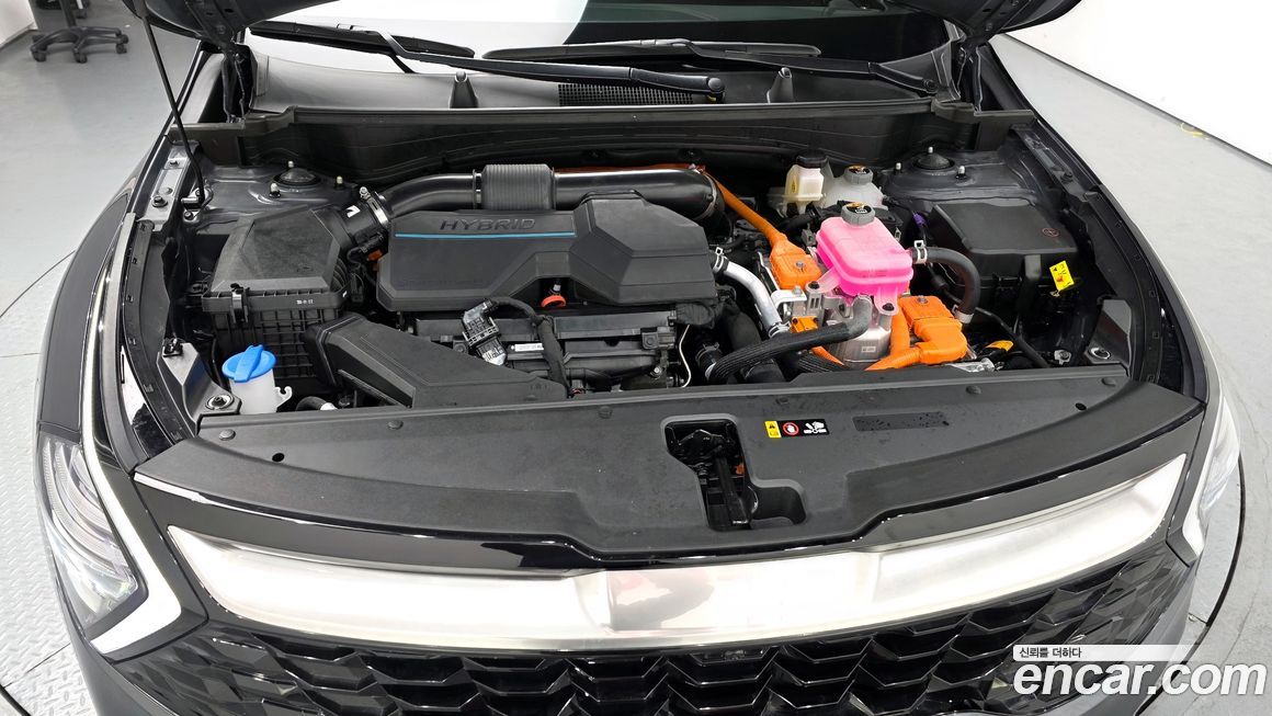 Kia Sportage 2024