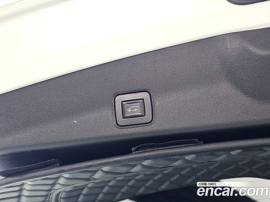 ChevroletGMDaewoo Trailblazer 2021