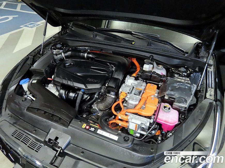 Kia K5 2024