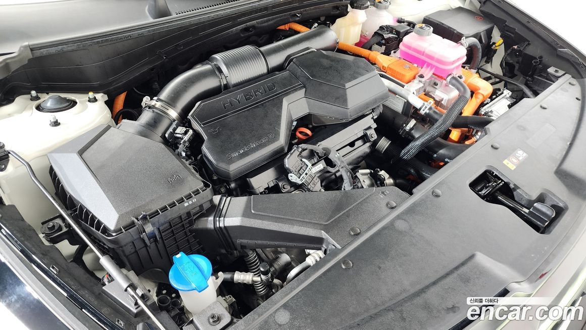 Kia Sportage 2025