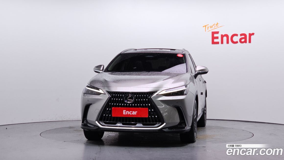 Lexus NX 2024