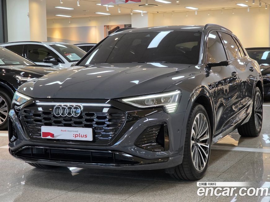 Audi Q8 e-tron 2024