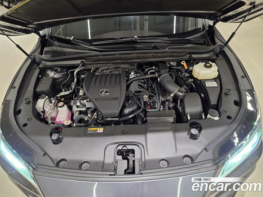 Lexus RX 2024