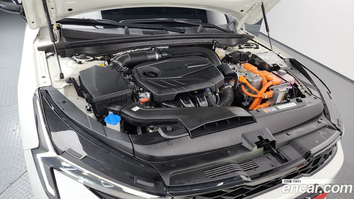 Kia K5 2024