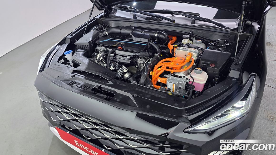 Kia K8 2024