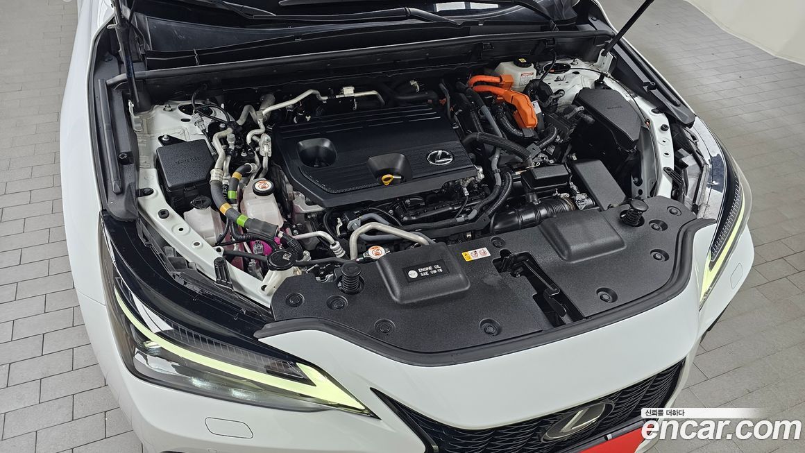 Lexus NX 2022
