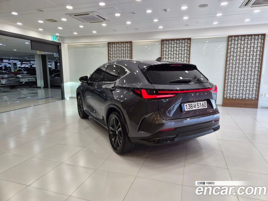 Lexus NX 2025