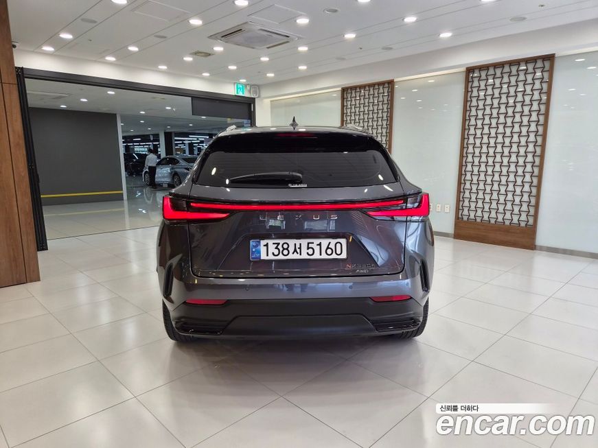 Lexus NX 2025