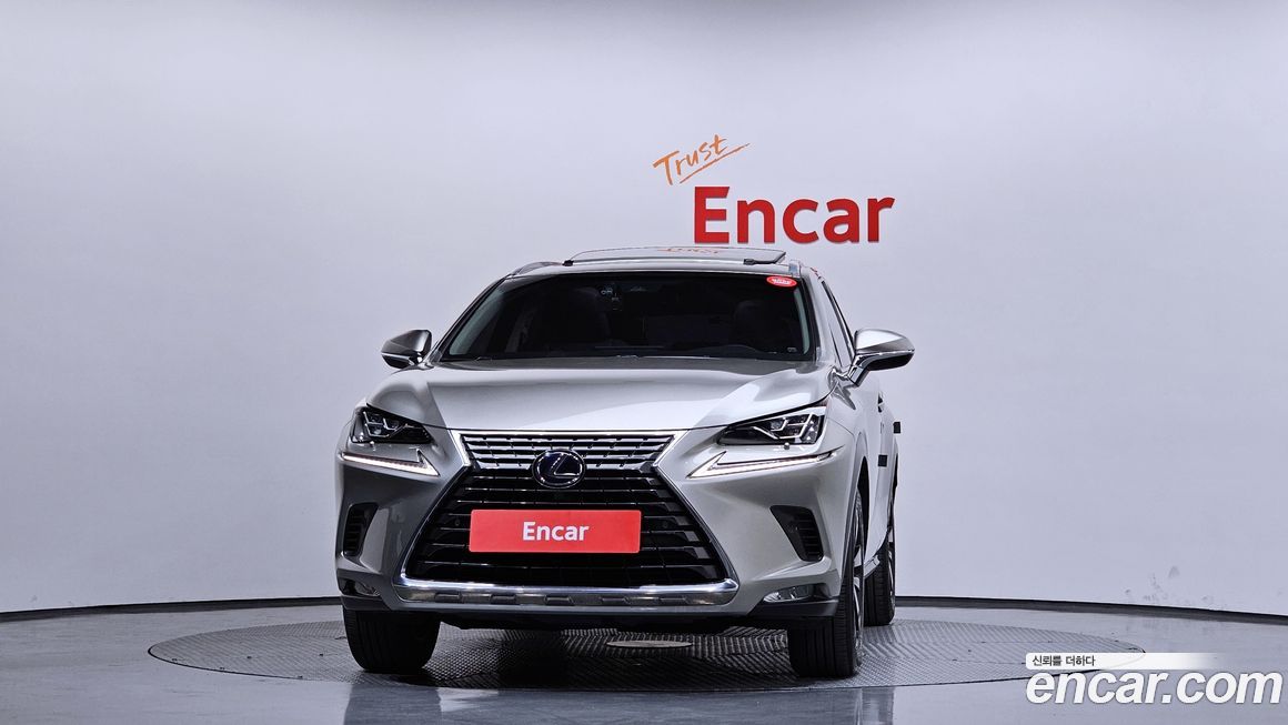 Lexus NX 2019