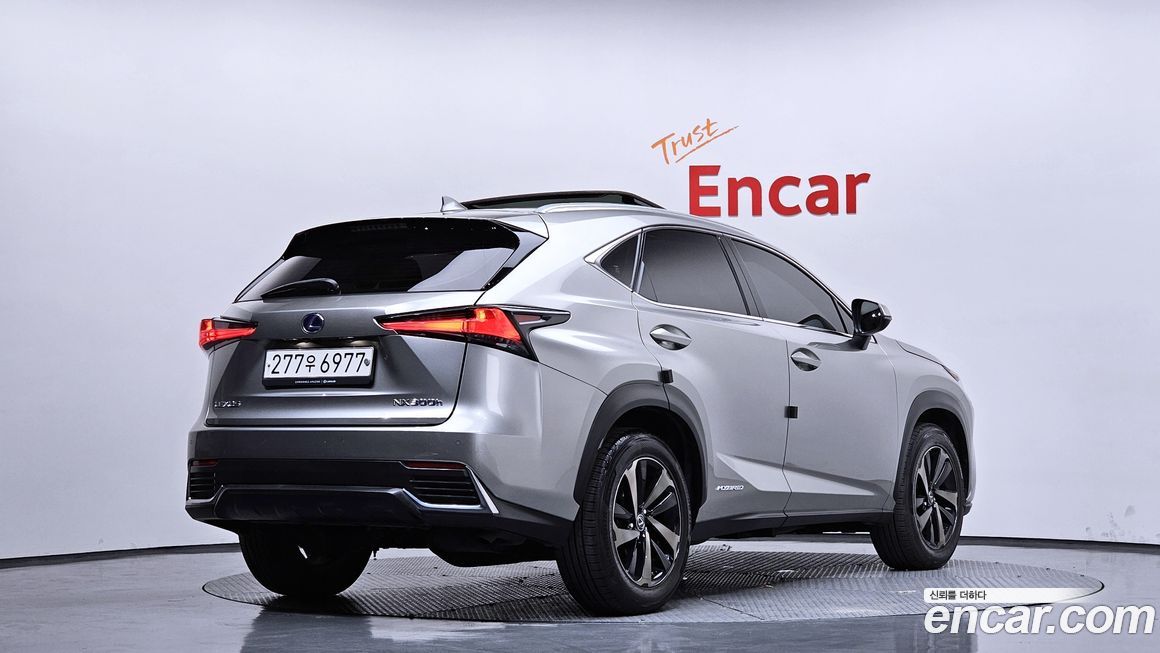 Lexus NX 2019