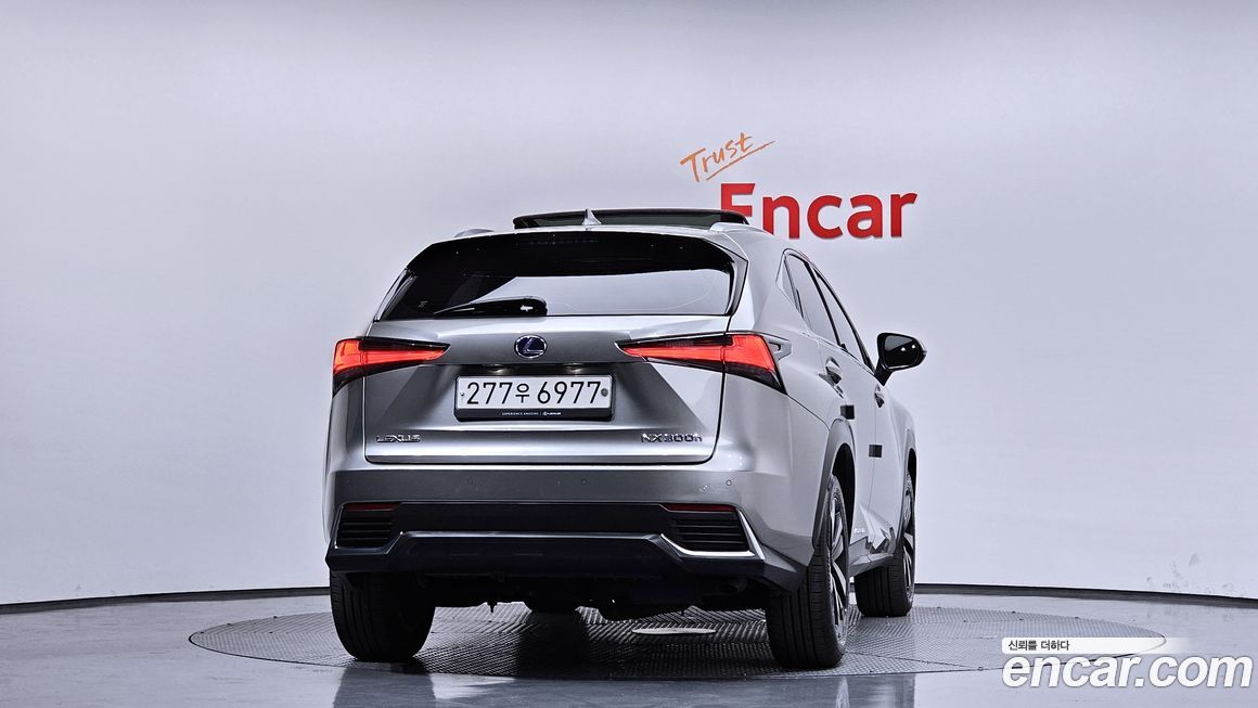 Lexus NX 2019