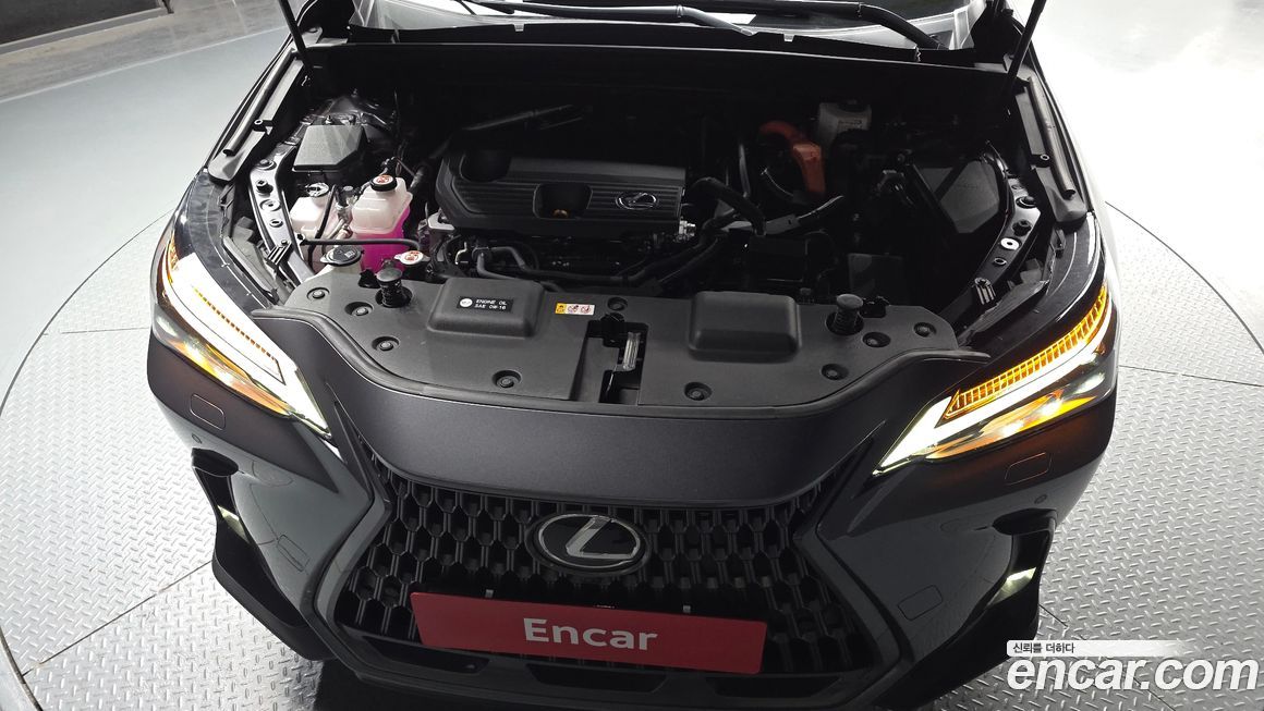 Lexus NX 2025