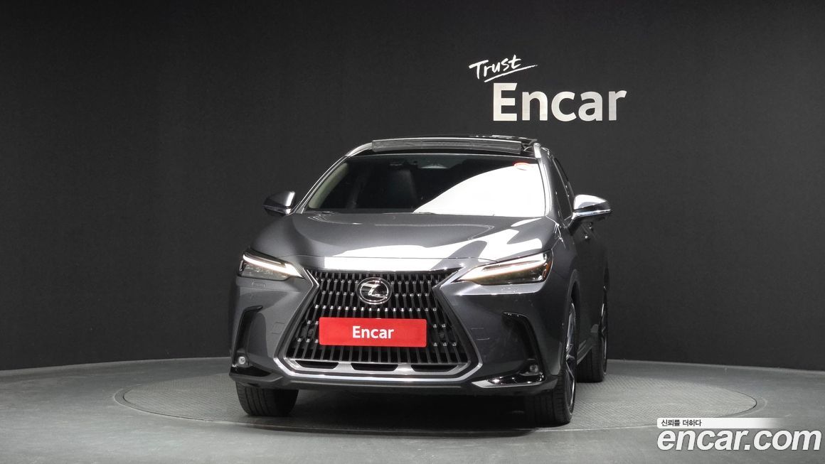 Lexus NX 2025