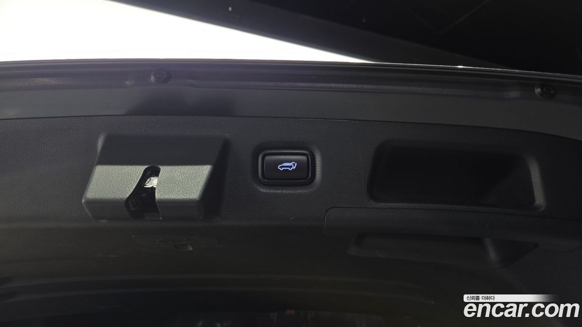Hyundai Santafe 2020