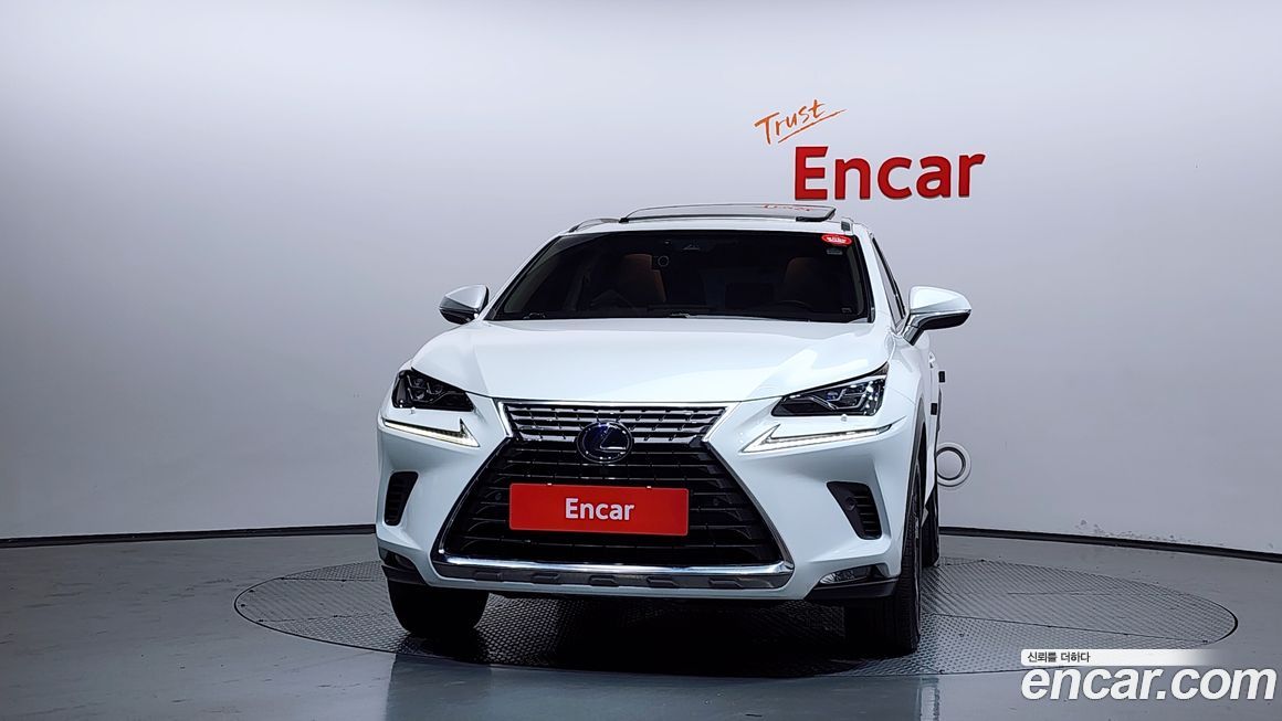 Lexus NX 2019