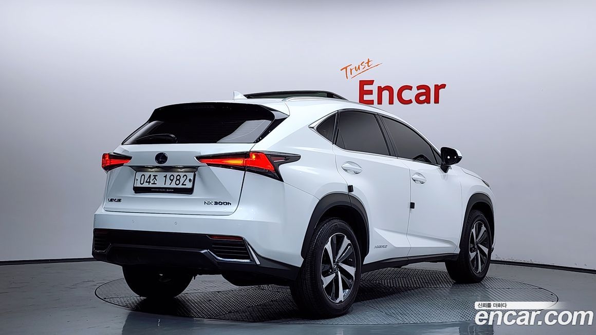 Lexus NX 2019