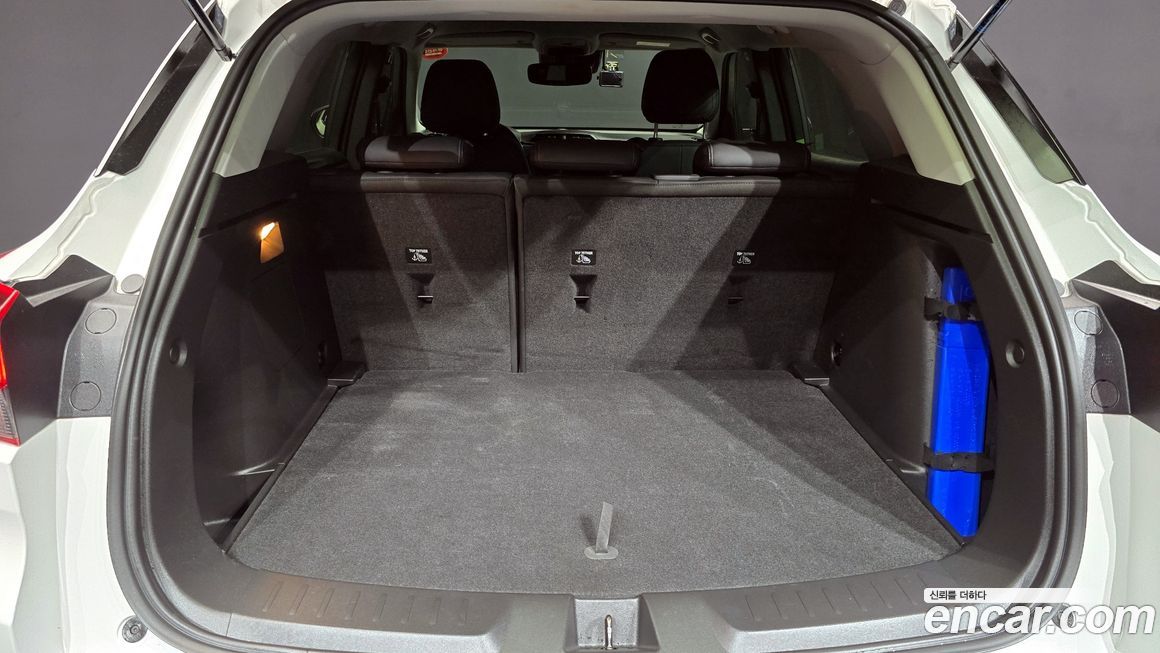 ChevroletGMDaewoo Trailblazer 2021