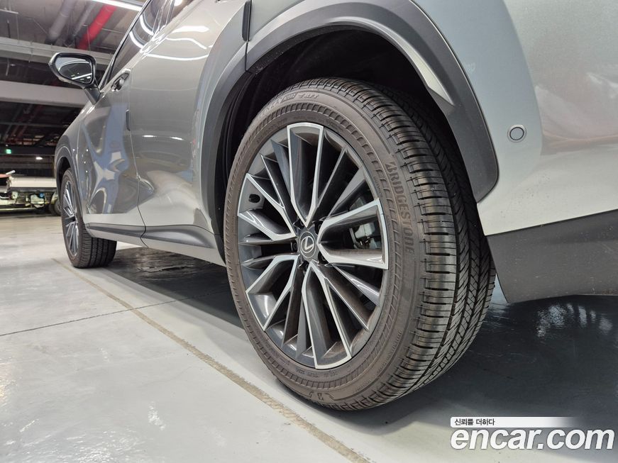 Lexus NX 2025