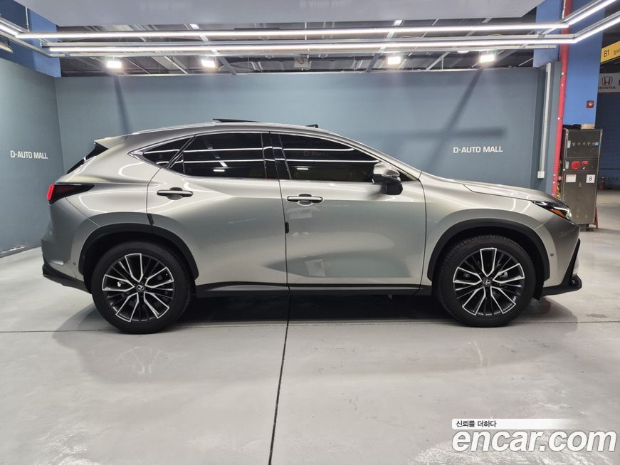 Lexus NX 2025