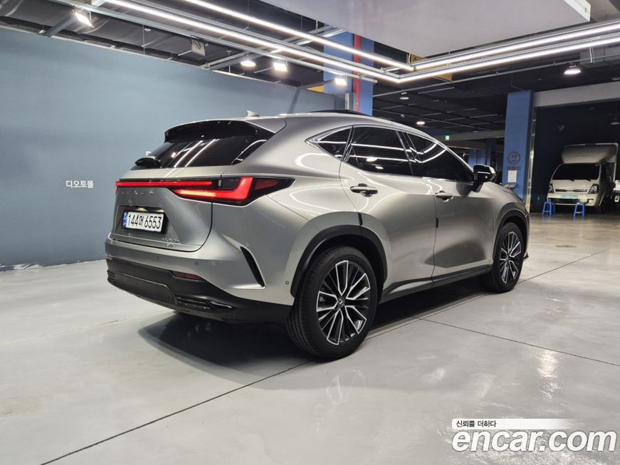 Lexus NX 2025