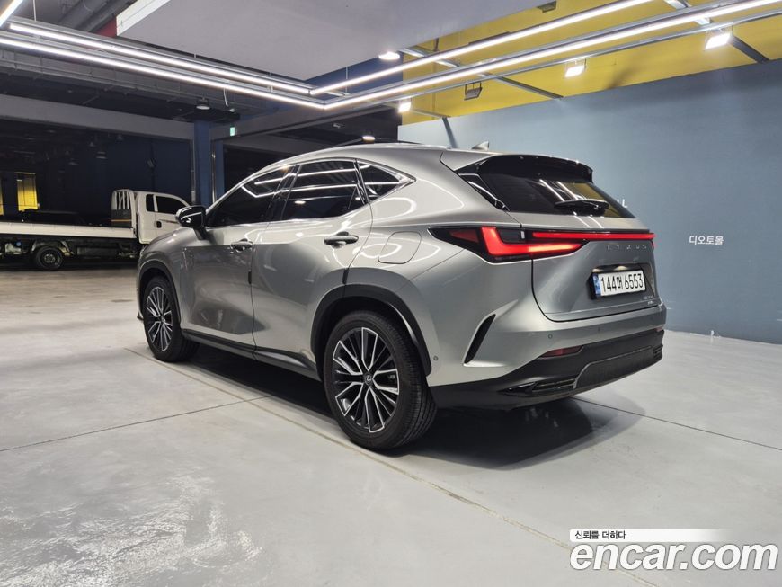 Lexus NX 2025