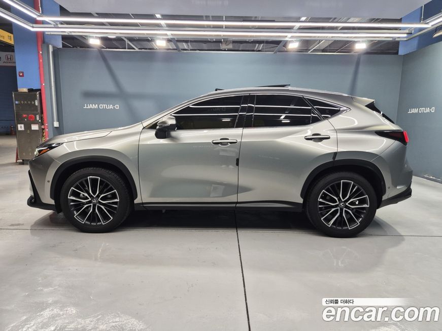 Lexus NX 2025
