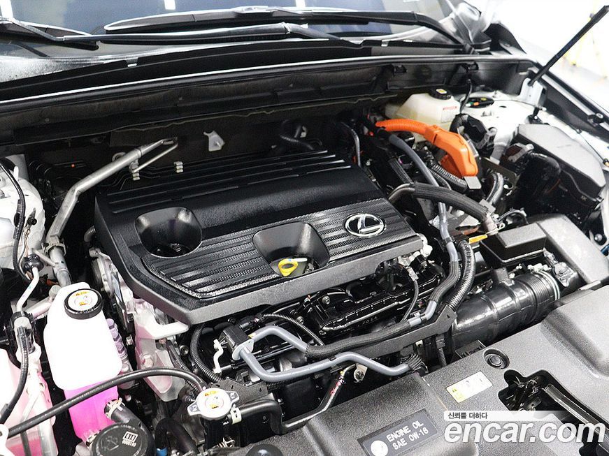 Lexus NX 2025