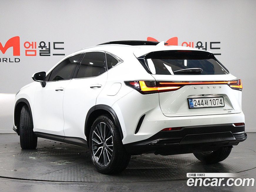 Lexus NX 2025