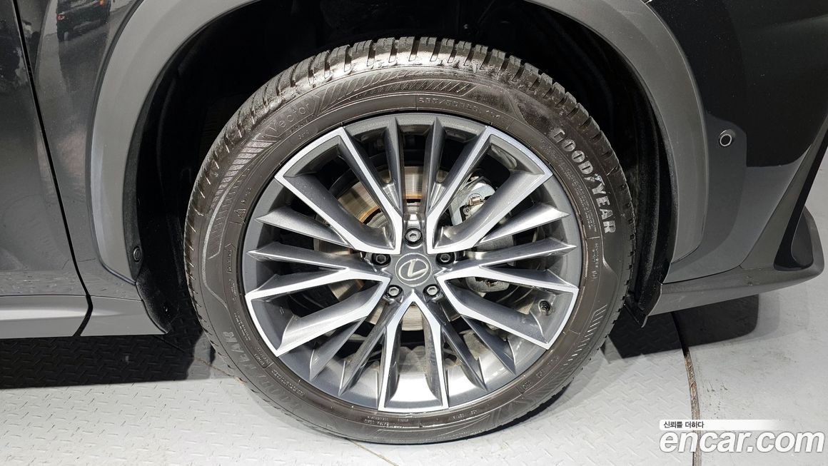Lexus NX 2025