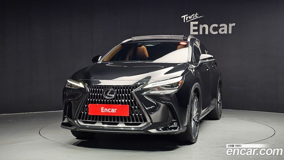 Lexus NX 2025