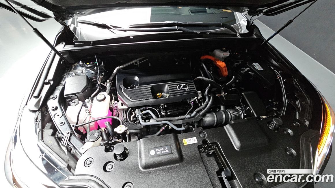 Lexus NX 2025