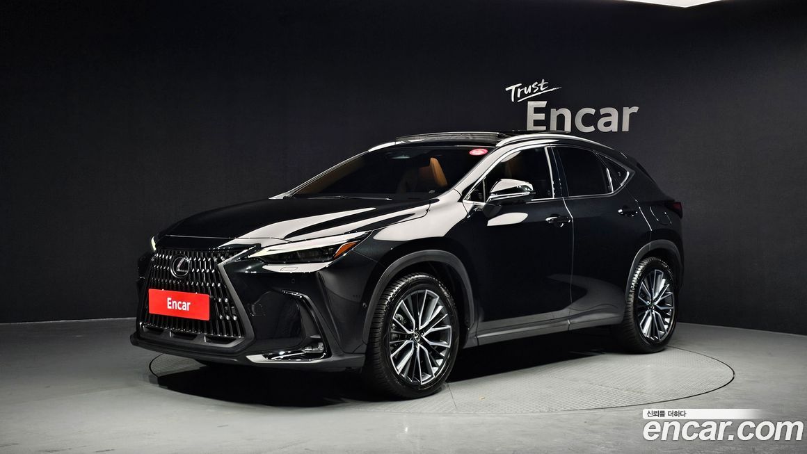Lexus NX 2025