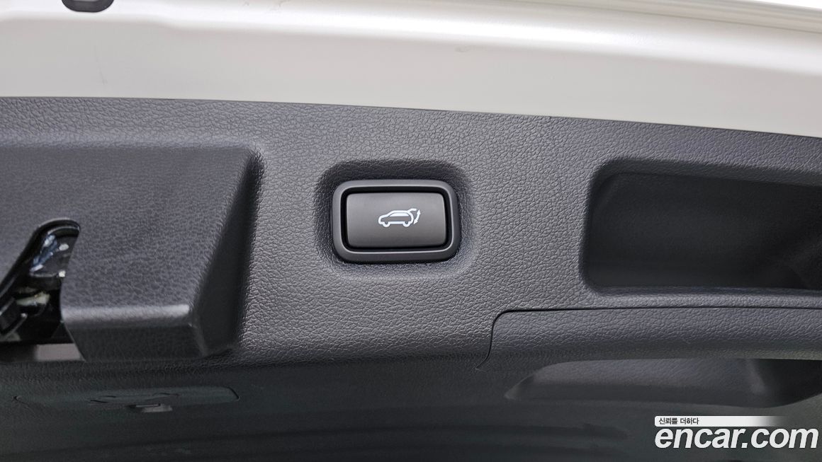 Hyundai Santafe 2020