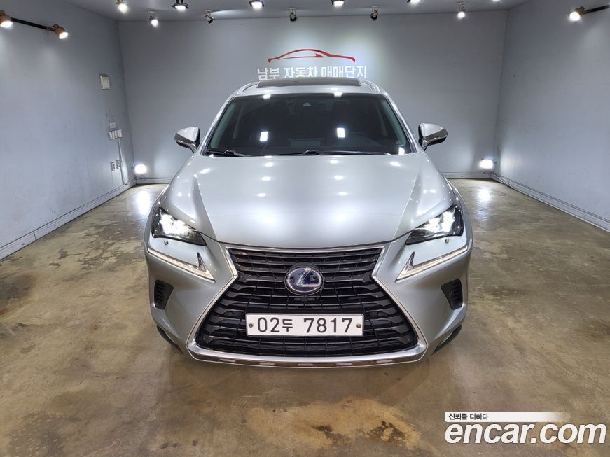 Lexus NX 2019