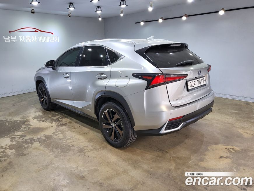 Lexus NX 2019